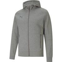 PUMA Herren Blouson teamCUP Casuals Hooded Jac, Größe XL in Grau