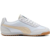 PUMA Herren Freizeitschuhe Arizona Nylon, Größe 41 in Silber
