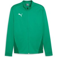 PUMA Herren Jacke teamGOAL Training Jacket, Größe L in Grün