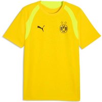 PUMA Herren Shirt BVB Training Jersey, Größe XXL in Gelb