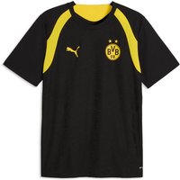 PUMA Herren Shirt BVB Training Jersey, Größe M in Schwarz