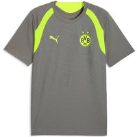 PUMA Herren Shirt BVB Training Jersey, Größe XL in Grau