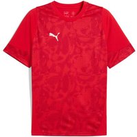 PUMA Herren Shirt teamCUP Training Jersey, Größe S in Rot