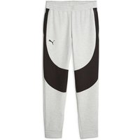 PUMA Herren Sporthose Hoops Team Dime Pant, Größe L in Grau
