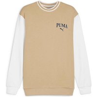 PUMA Herren Sweatshirt SQUAD Crew TR, Größe XL in Braun