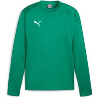 PUMA Herren Sweatshirt teamGOAL Training Sweat, Größe XXL in Grün