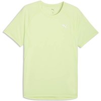 PUMA Herren T-Shirt M RUN VELOCITY TEE (POLY), Größe XXL in Braun