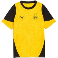 PUMA Kinder Shirt BVB Training Jersey Jr, Größe 176 in Schwarz