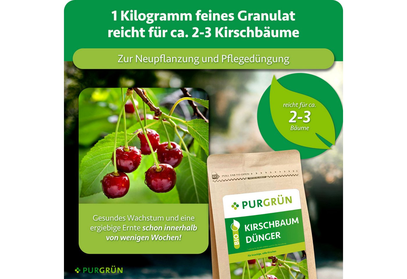 Purgrün Gartendünger Bio Kirschbaum Dünger, NPK 6+4+5, Magnesium, 1 kg, Granulat, 1-St., 1 kg – Bild 4 von 5