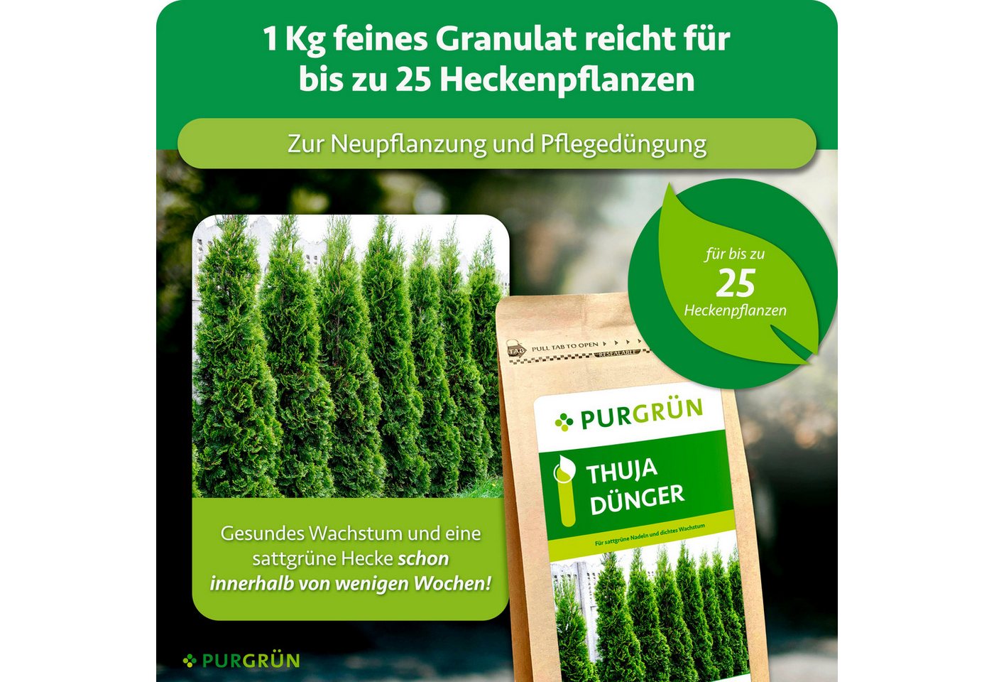 Purgrün Gartendünger Thuja Dünger, NPK 9+4+8, für sattgrüne, dichte Hecken, 1 kg, Granulat, 1-St., 1 kg – Bild 4 von 5