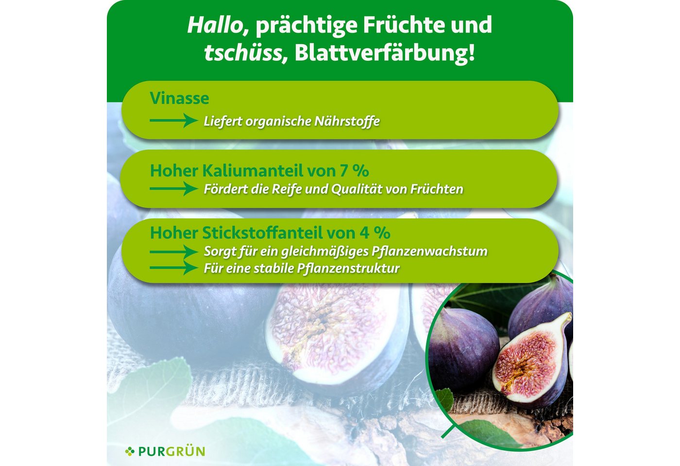 Purgrün Obstdünger Bio Feigendünger, NPK 4+1+7, Algenextrakt, 1 Liter, Flüssigdünger, 1-St., 1 Liter – Bild 3 von 5