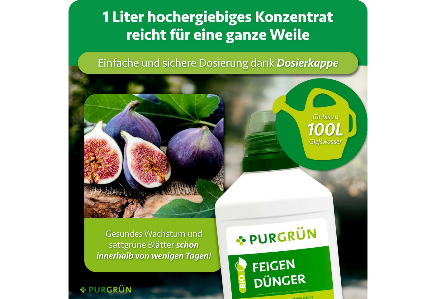 Purgrün Obstdünger Bio Feigendünger, NPK 4+1+7, Algenextrakt, 1 Liter, Flüssigdünger, 1-St., 1 Liter – Bild 4 von 5