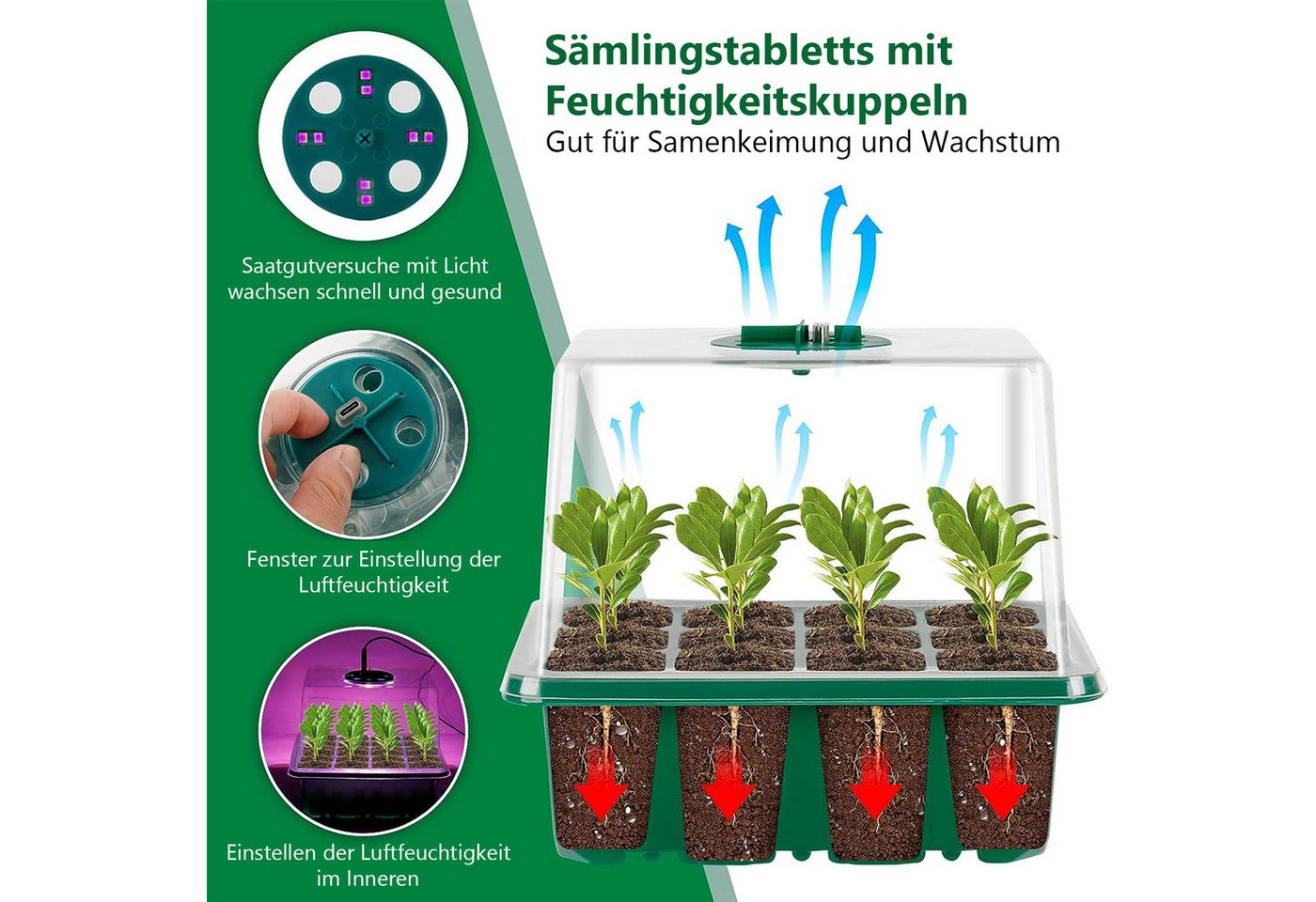 Qualra Gewächshaus Mini Gewächshaus Growbox Komplettset mit Licht Anzucht Gewächshaus, 1-St., Zimmergewächshaus für Balkon Pflanze – Bild 3 von 5