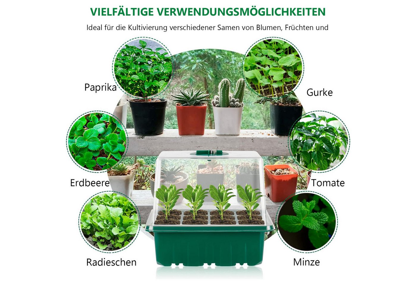 Qualra Gewächshaus Mini Gewächshaus Growbox Komplettset mit Licht Anzucht Gewächshaus, 1-St., Zimmergewächshaus für Balkon Pflanze – Bild 4 von 5