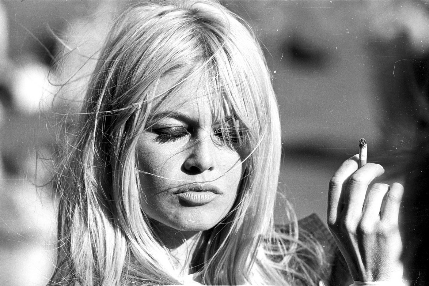 queence Acrylglasbild Brigitte Bardot, Film, Filmfiguren, Filmszene, Foto, Frau, Portrait, Schwarz-Weiß, Stars, Fine Art-Print in Galeriequalität – Bild 2 von 4