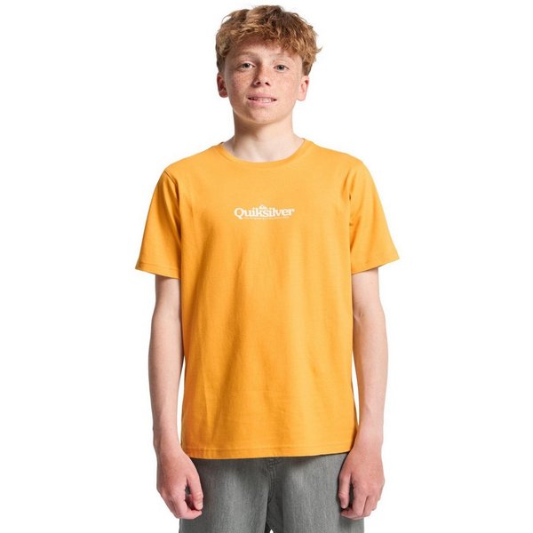 Quiksilver T-Shirt Fineline