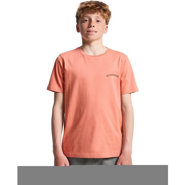 Quiksilver T-Shirt Urban Nomad