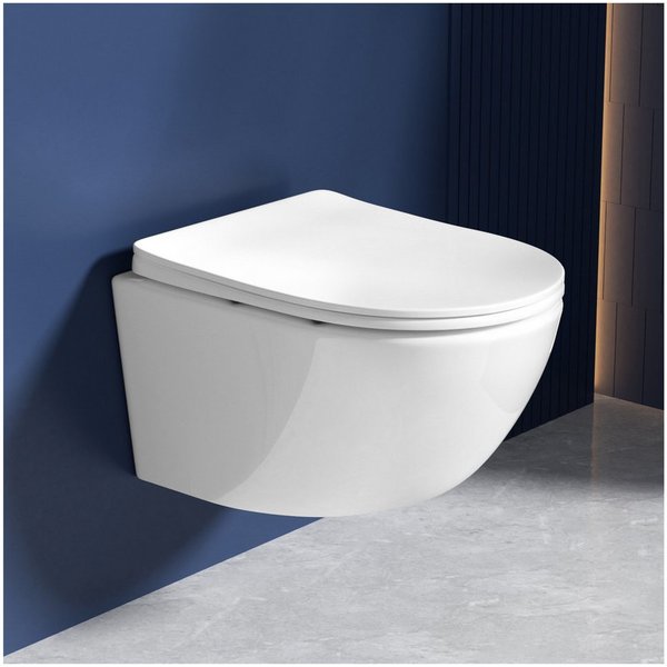 Rainsworth Tiefspül-WC spülrandlos 49 cm, wandhängend, 360° Einloch Spülung Wand WC mit Soft-Close, Weiß