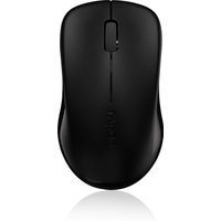 Rapoo 1620 mouse
