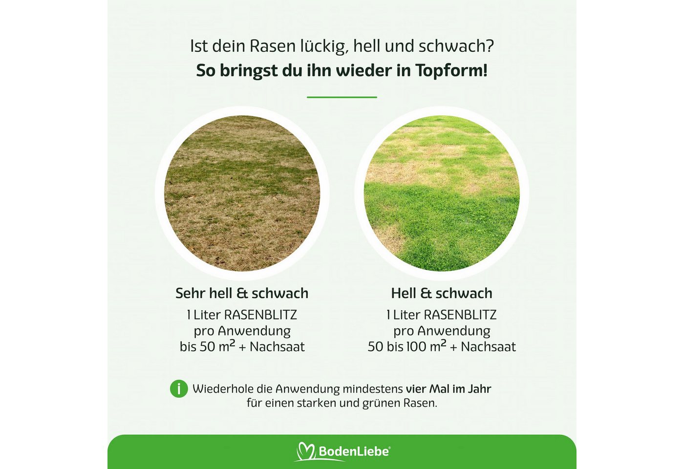RASENBLITZ Rasendünger RASENBLITZ™ - HERBSTDÜNGER, Flüssiger Herbstdünger mit einfacher Schlauch-Anwendung – Bild 5 von 5