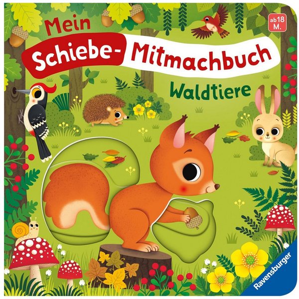 Mein Schiebe-Mitmachbuch - Waldtiere / Bernd Penners