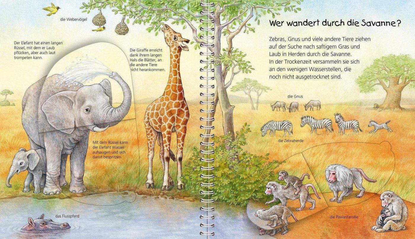 Wieso? Weshalb? Warum?, Mein junior-Lexikon Tiere, Made in Europe – Bild 3 von 4