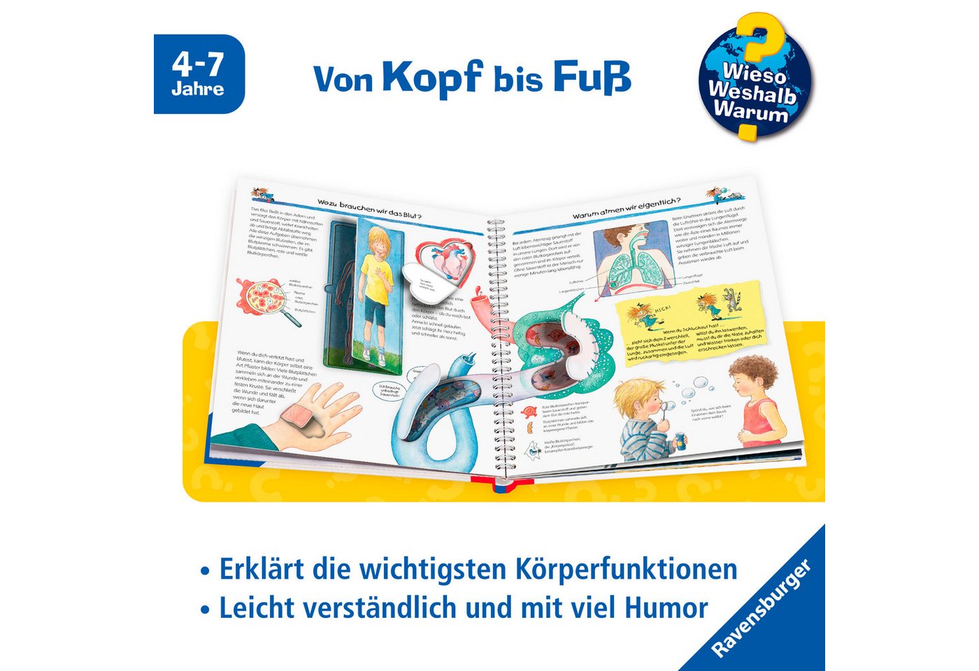 Wieso? Weshalb? Warum?, Band 1 Wir entdecken unseren Körper – Bild 5 von 5