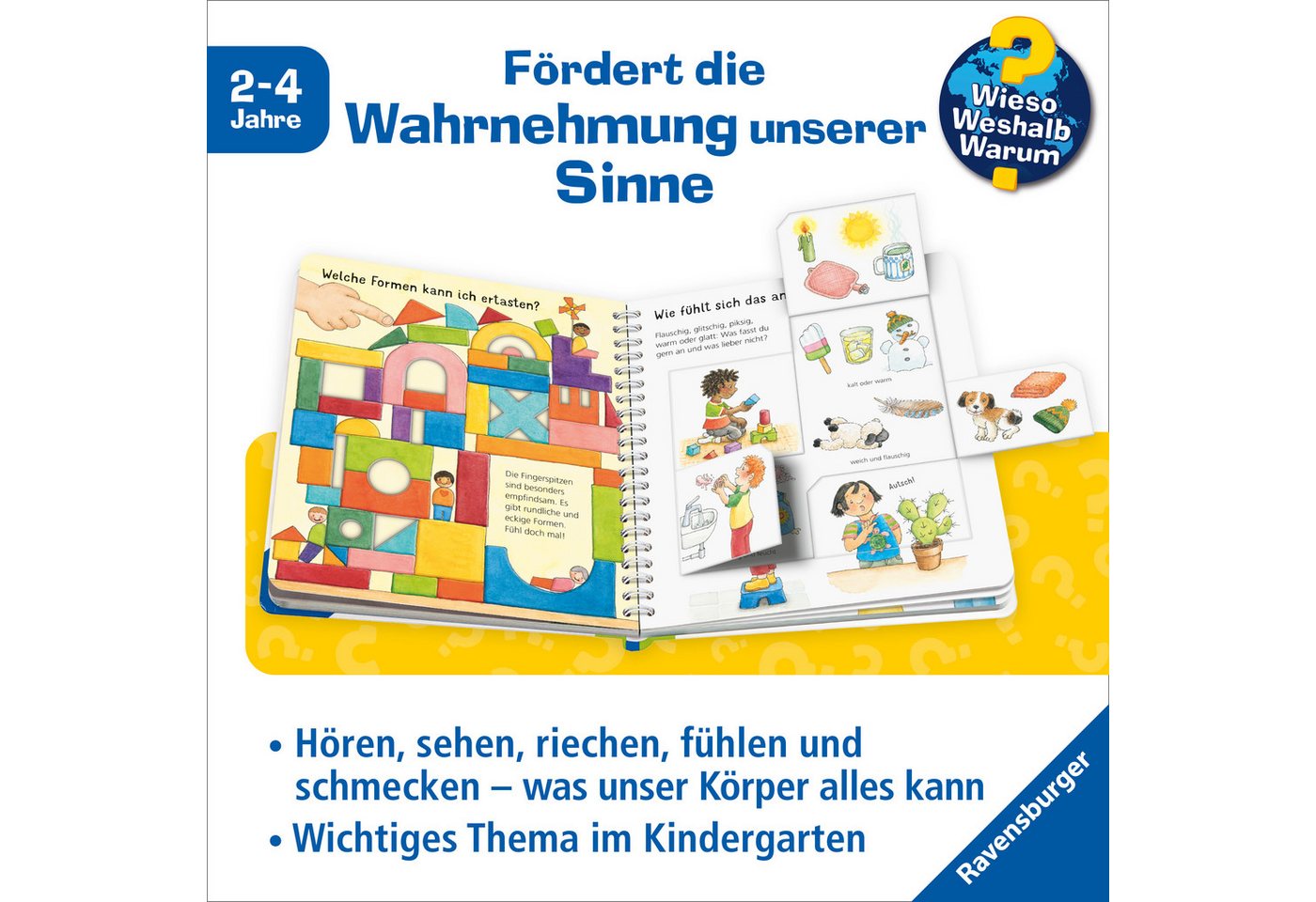 Wieso? Weshalb? Warum? junior, Band 36 - Sehen, riechen, hören, Made in Europe – Bild 3 von 5