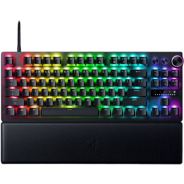 schwarz, LEDs RGB, Razer Analog Optical Switch Gen-2, USB, DE