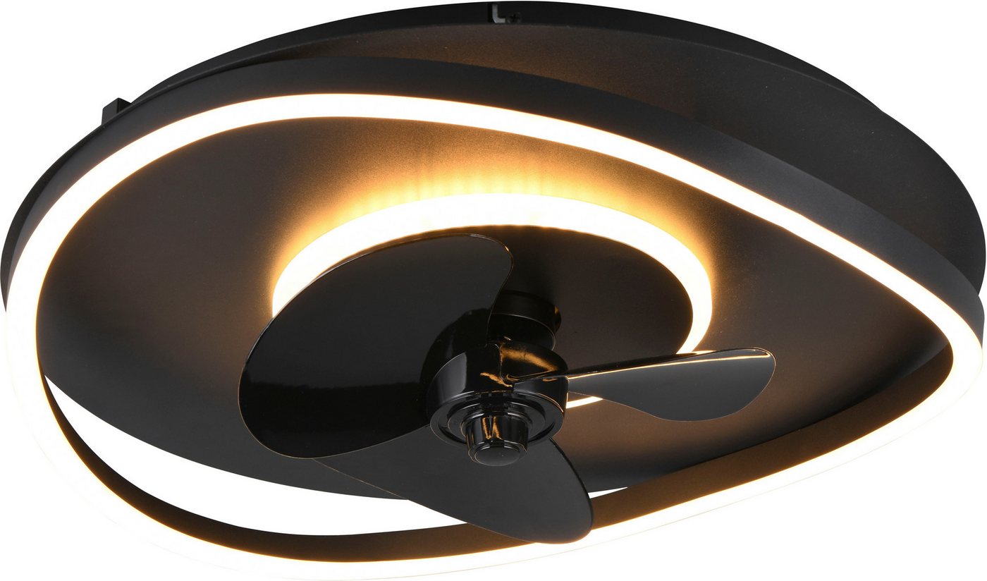 Reality Leuchten LED Deckenleuchte SORTLAND Deckenventilator mit Beleuchtung Fernbedienung 3 Stufen Timer, Timerfunktion, Ventilatorfunktion, LED fest integrier – Bild 3 von 5