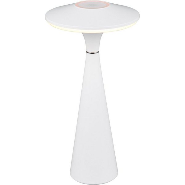 Reality Leuchten LED Tischleuchte TORREZ, Dimmfunktion, USB-Ladefunktion, LED fest integriert, warmweiß - kaltweiß, in-Outdoor Akku Tischlampe mit USB-C, dimmba