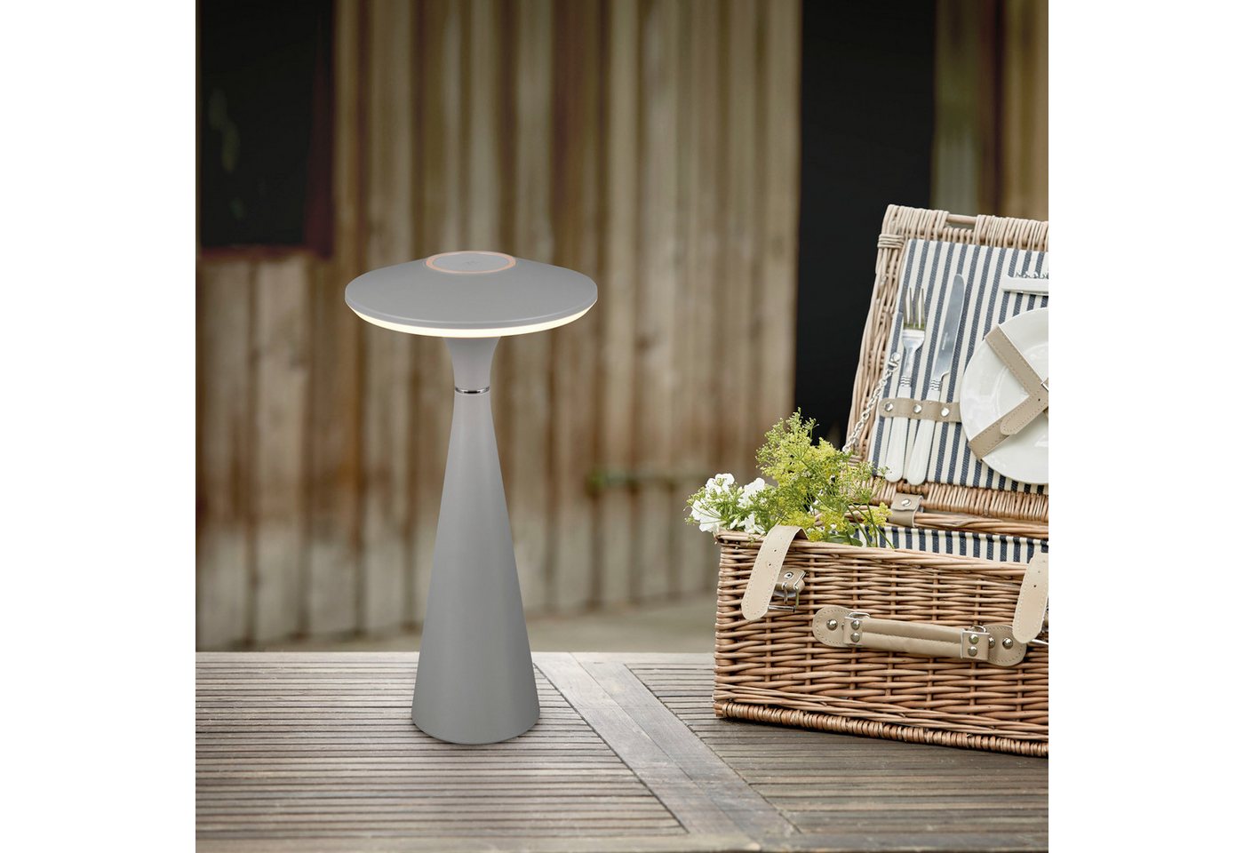 Reality Leuchten LED Tischleuchte TORREZ, Dimmfunktion, USB-Ladefunktion, LED fest integriert, warmweiß - kaltweiß, in-Outdoor Akku Tischlampe mit USB-C, dimmba – Bild 3 von 5
