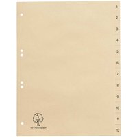 Register aus Tauenpapier 1-12, DIN A4