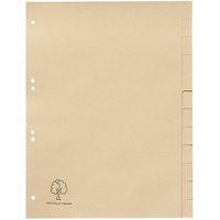 Register aus Tauenpapier blanko, DIN A4, 12-teilig