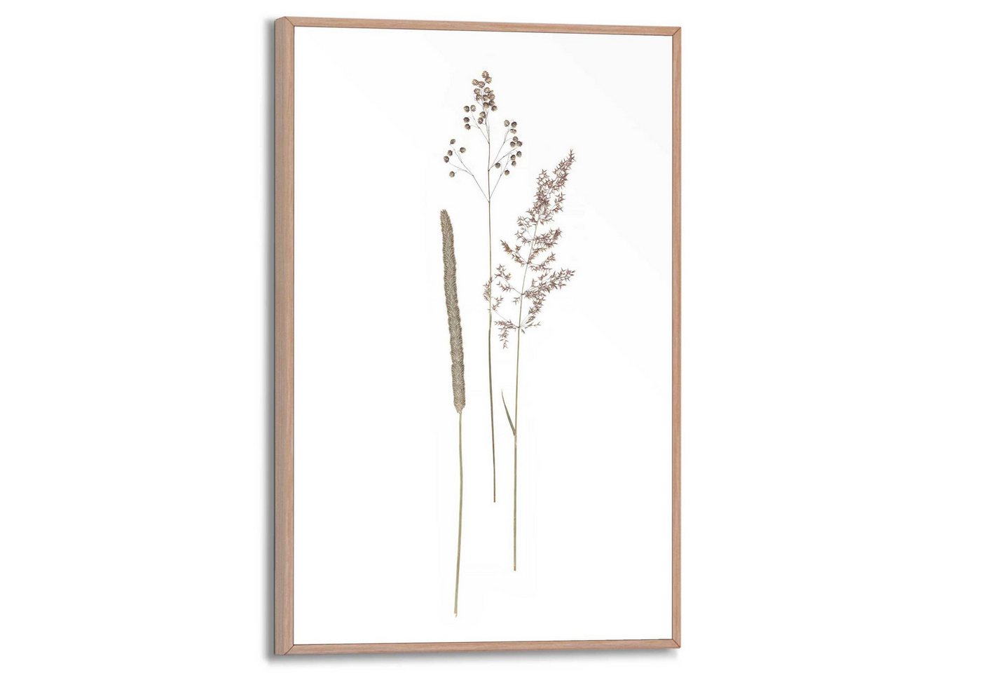 Reinders! Bild mit Rahmen Dried Flowers – Bild 2 von 4
