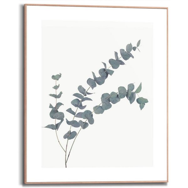 Reinders! Bild mit Rahmen Eucalyptus, (1 St)