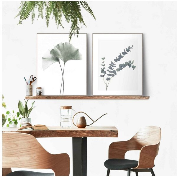 Reinders! Bild mit Rahmen Eukalyptus blatt Pflanze, Blätter (2 St), Ginko - Naturmotiv - Botanisch