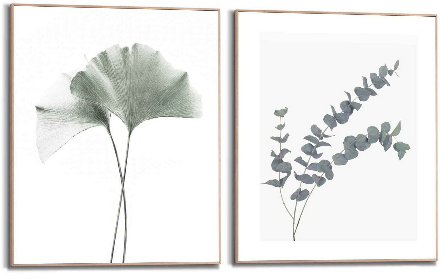 Reinders! Bild mit Rahmen Eukalyptus blatt Pflanze, Blätter (2 St), Ginko - Naturmotiv - Botanisch – Bild 2 von 4