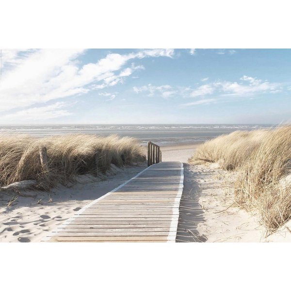 Reinders! Deco-Panel Nordsee Dünen