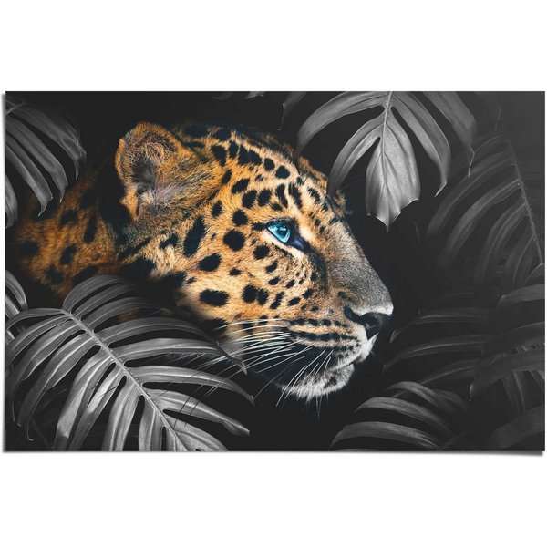 Reinders! Poster Leopard Jungle - Eyecatcher - Tiermotiv - Modern, (1 St)