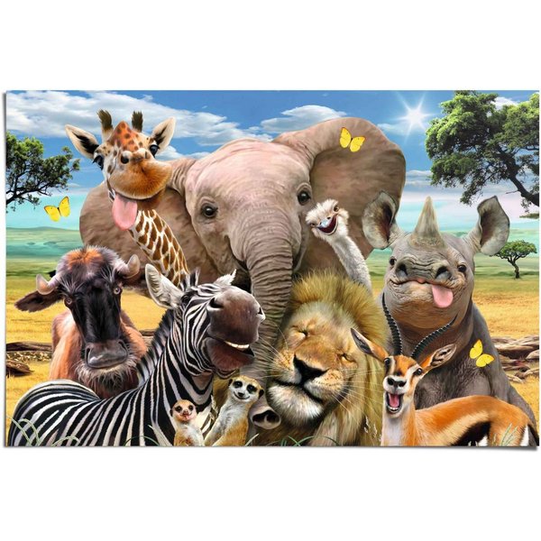 Reinders! Poster Lustige Wildtiere, (1 St)