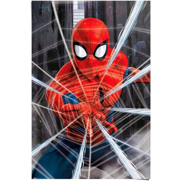 Reinders! Poster Marvel Spiderman - gotcha