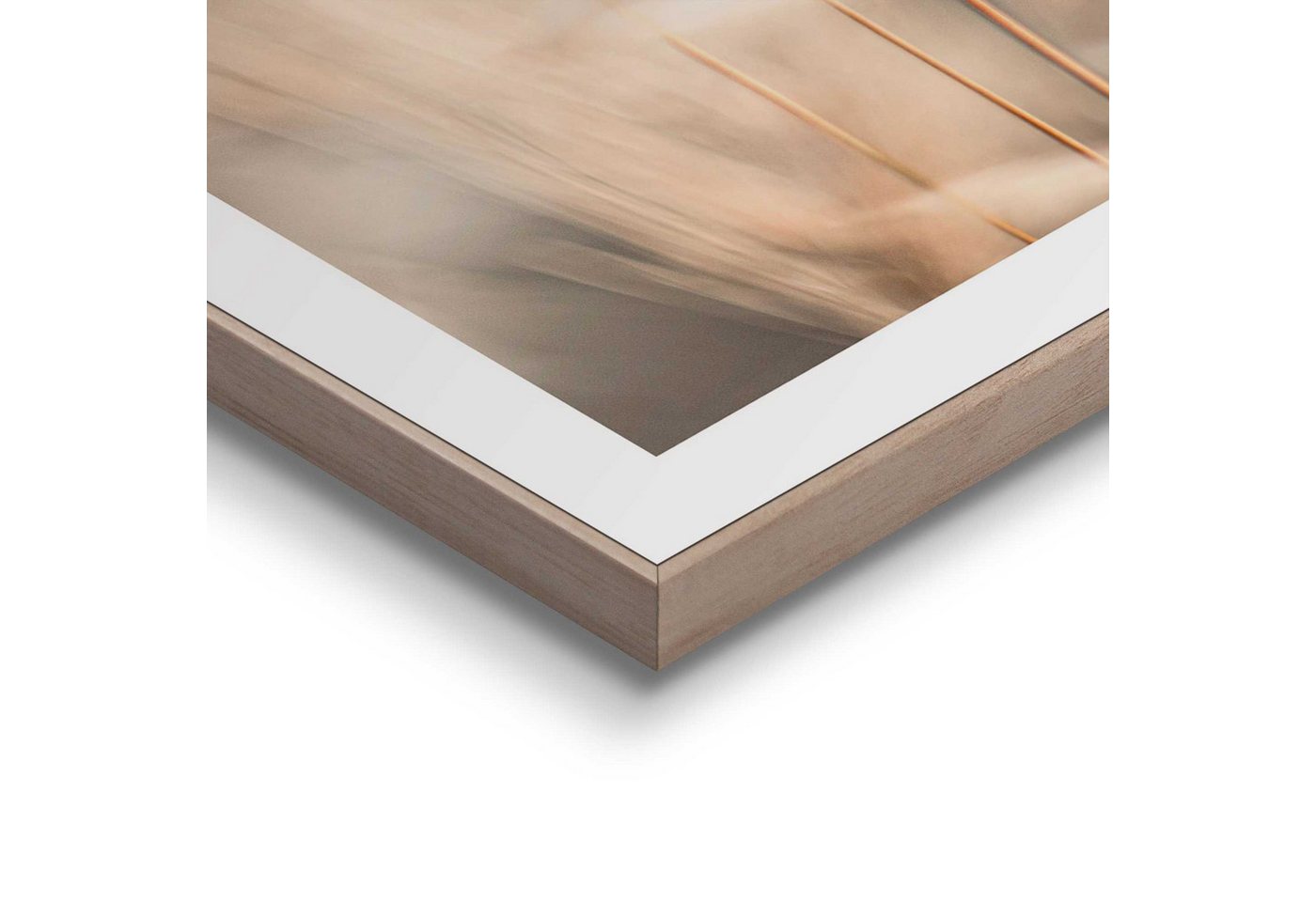 Reinders! Poster Plumes, Wohnzimmer - Grasfedern - Beige - MDF - Blumen und Pflanzen - 30x40 cm – Bild 4 von 4