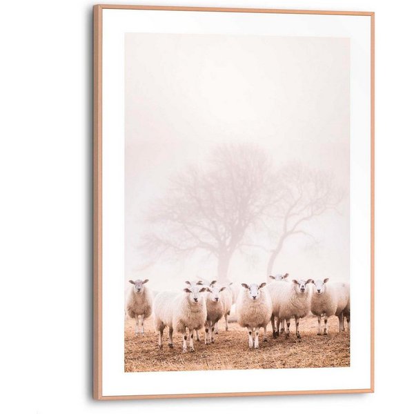 Reinders! Poster Schafe im Nebel