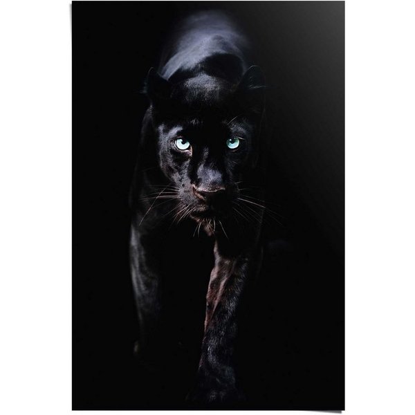 Reinders! Poster Poster Schwarzer Panther, Tiere (1 St)