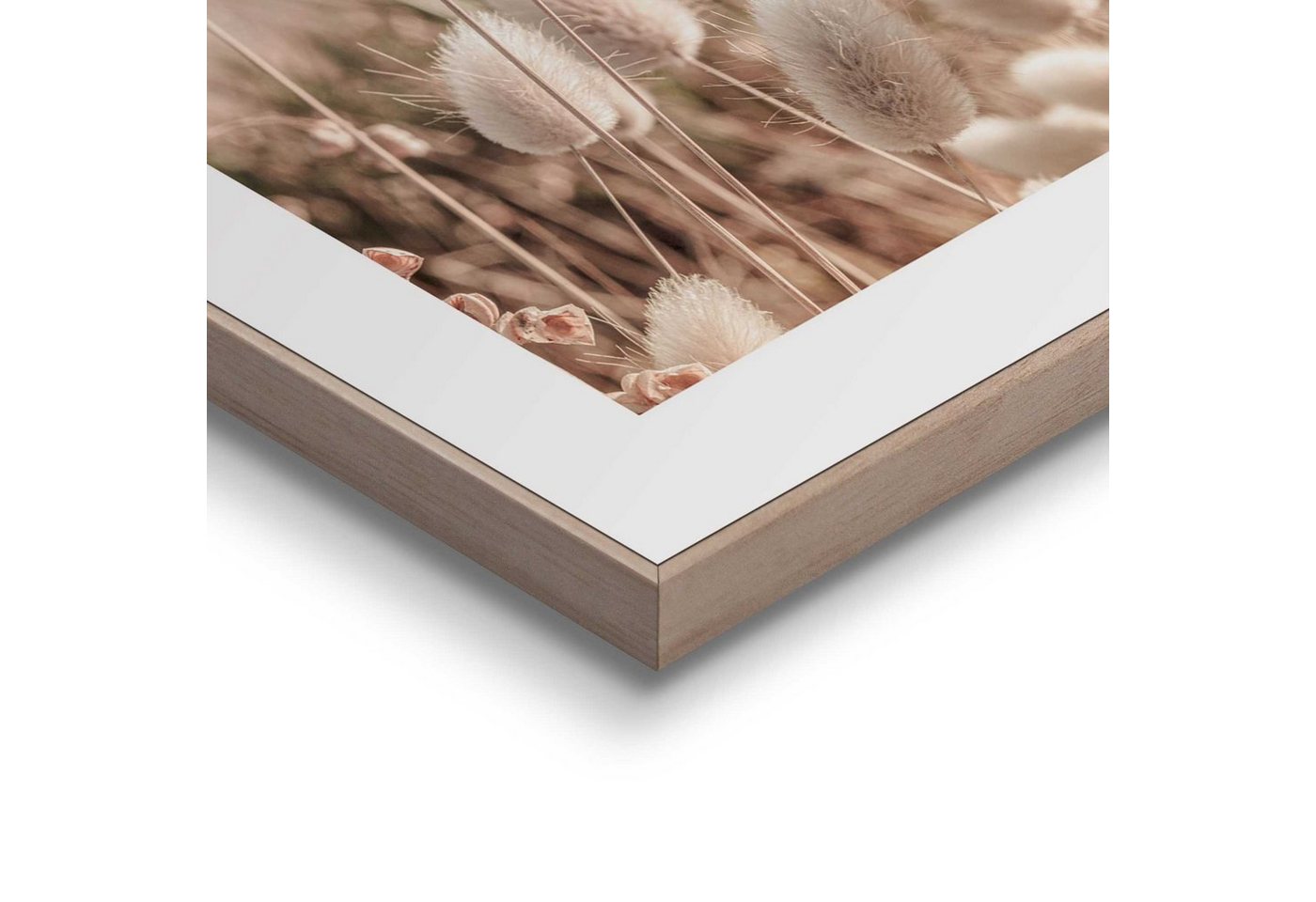 Reinders! Poster Ziergras – Bild 3 von 3