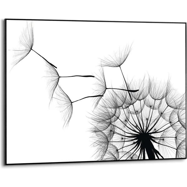 Reinders! Wandbild Slim Frame Black 50x70 Dandelion