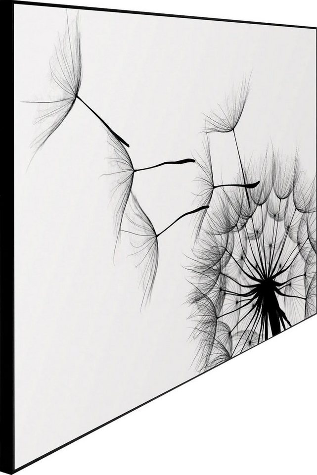 Reinders! Wandbild Slim Frame Black 50x70 Dandelion – Bild 3 von 5