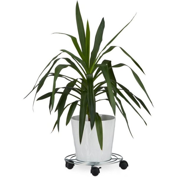 relaxdays Blumentopfuntersetzer Pflanzenroller mit Bremse, Zubehör für Topfpflanzen, 1-tlg.