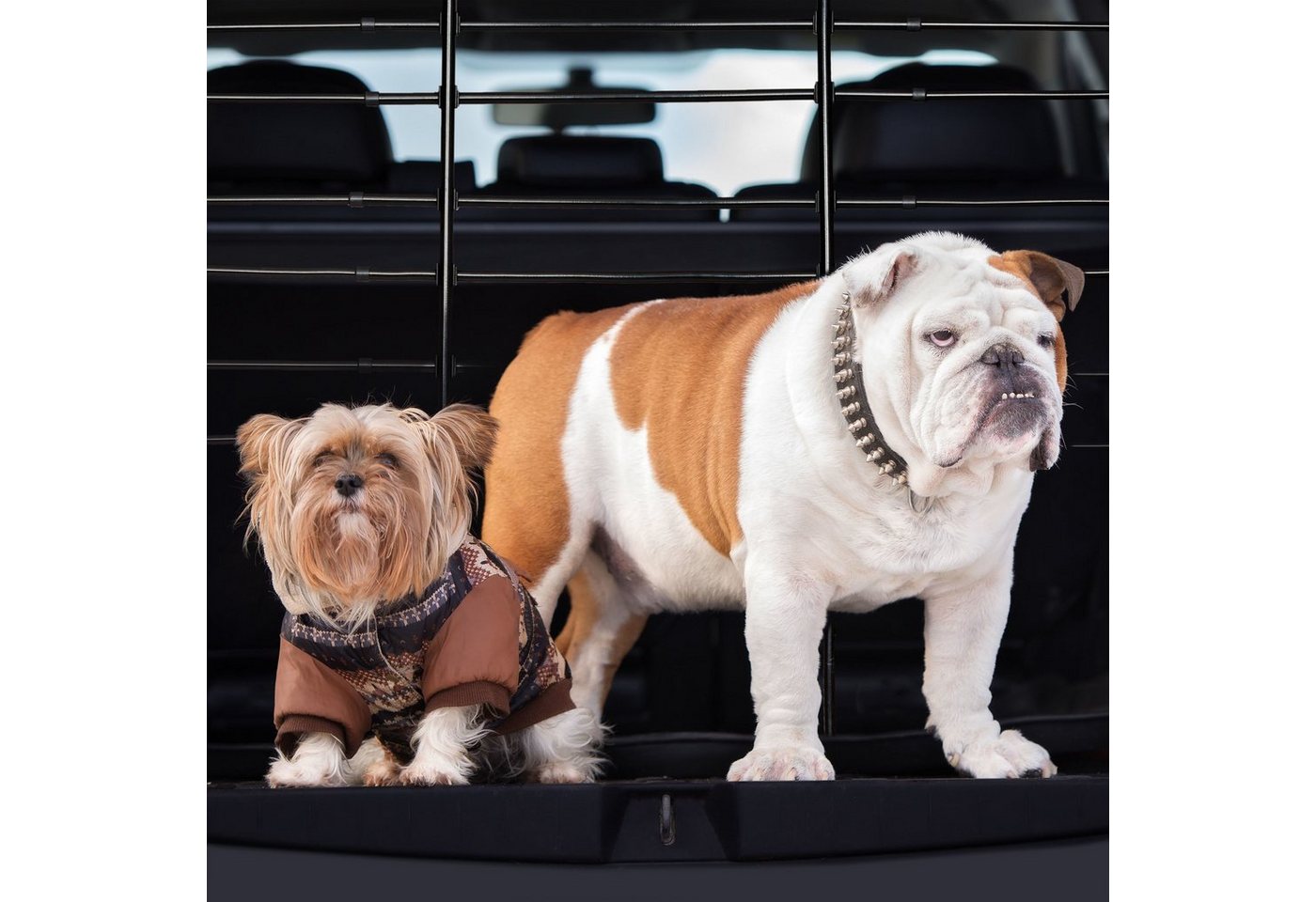 relaxdays Hundegitter Auto (1 St) – Bild 5 von 5